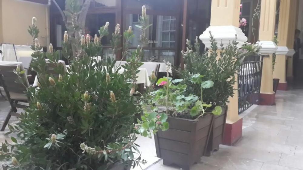 Antik Hotel